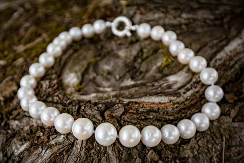 Pearl Necklace - Large